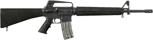 DayZ M16-A2 assault rifle item image