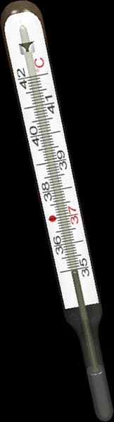 DayZ medical thermometer item icon