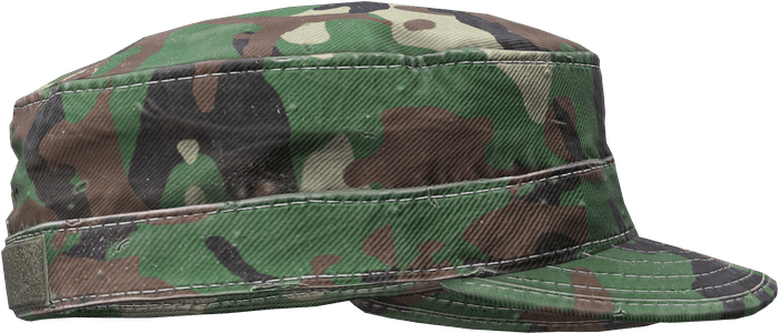 DayZ Military Cap item image