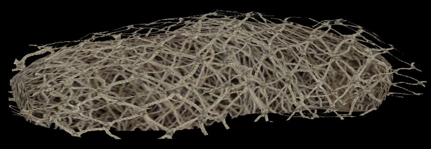 DayZ Netting crafting material item image