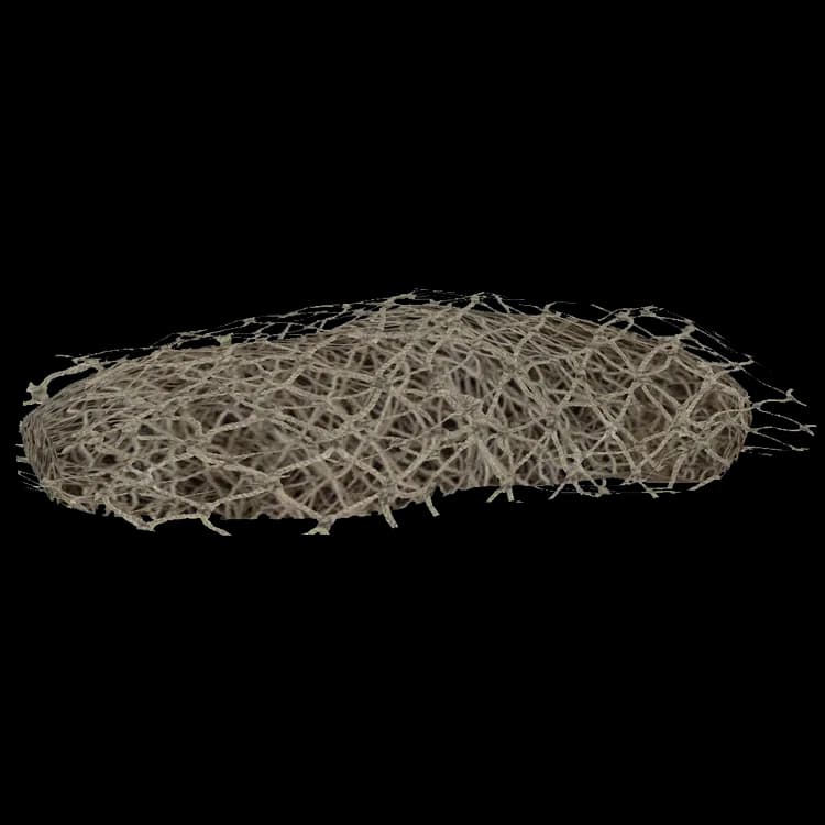 Netting