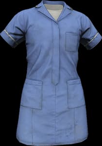 DayZ Nurse Dress clothing item image