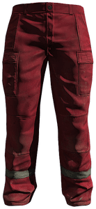 DayZ Paramedic Pants clothing item image