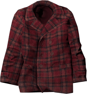 DayZ Pea Coat clothing item image