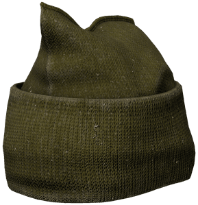 DayZ Petushok Hat item image