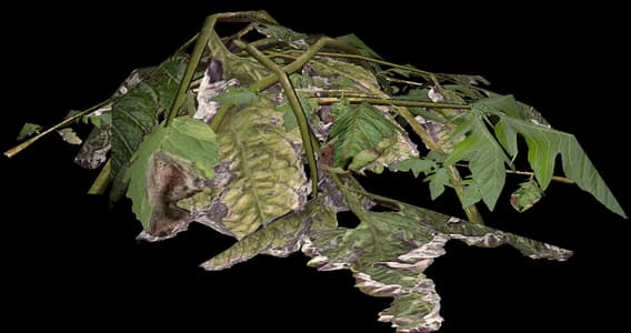 DayZ Plant Material fertilizer item image