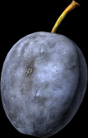 DayZ Plum fruit food item image