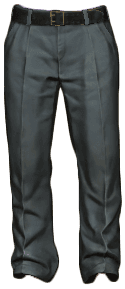 DayZ Police Pants clothing item image