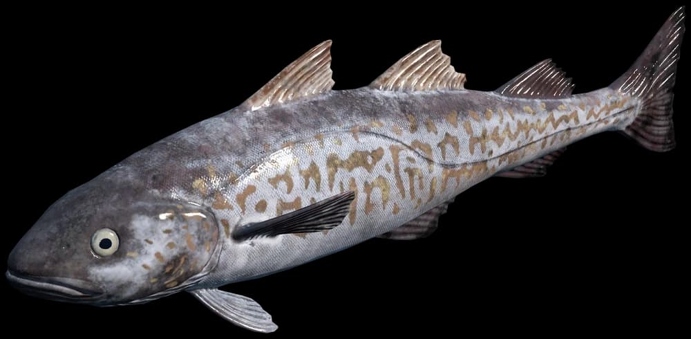 DayZ Pollock fish item image