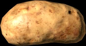 DayZ Potato vegetable food item image