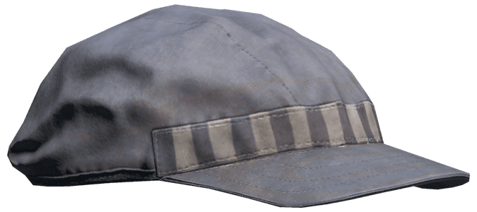 DayZ Prisoner Cap item image