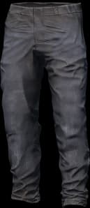 DayZ Prisoner Pants clothing item image