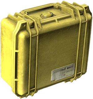 DayZ Protective Case container item image