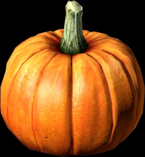 DayZ Pumpkin vegetable food item image