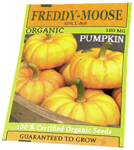 DayZ Pumpkin Seeds packet item image