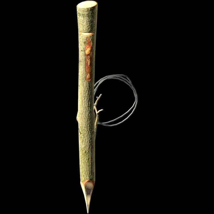 Rabbit Snare