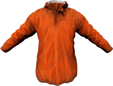 DayZ Raincoat clothing item image