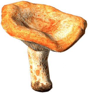 DayZ Red Pine Mushroom food item image