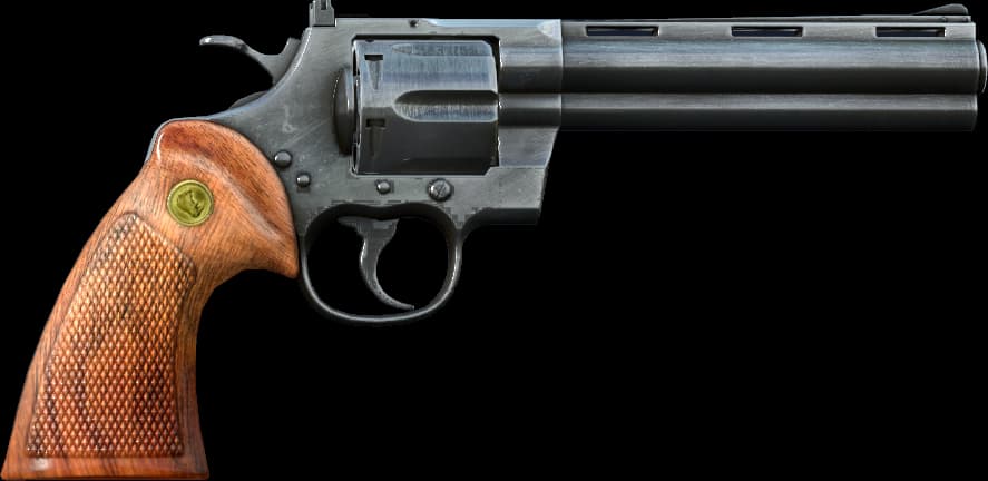 DayZ Revolver handgun item image