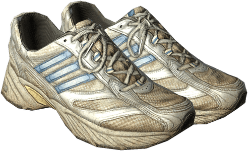 DayZ Running Shoes item image