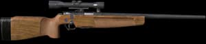 DayZ SSG 82 bolt-action sniper rifle item image