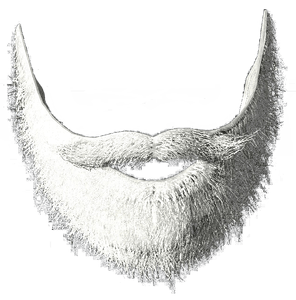DayZ Santa Beard item image