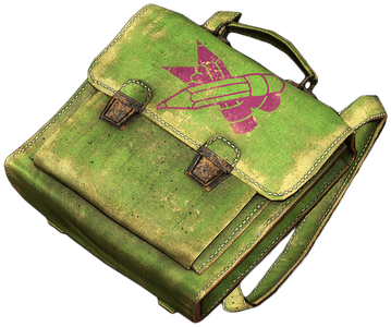 DayZ School Backpack item image