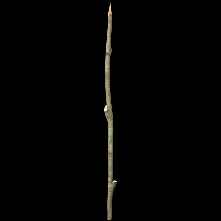 Sharpened Stick
