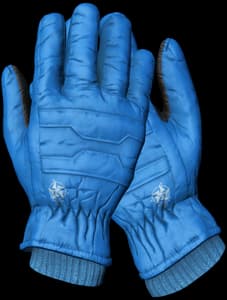 DayZ Ski Gloves item image