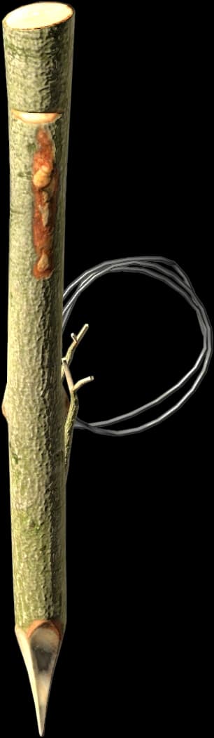 DayZ Snare Trap hunting equipment item image