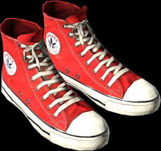 DayZ Sneakers item image