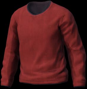 DayZ Sweater clothing item image