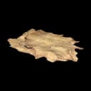 Wild Pelt