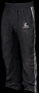 DayZ Tracksuit Pants clothing item image