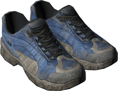 DayZ Trail Shoes item image