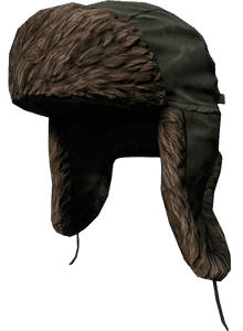 DayZ Ushanka item image