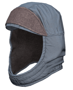 DayZ Winter Coif item image
