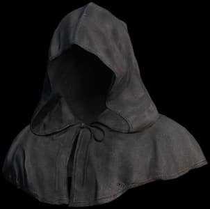 DayZ Witch Hood item image