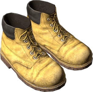 DayZ Working Boots item image