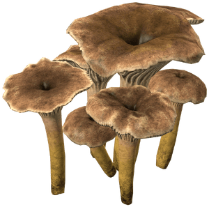 DayZ Yellowfoot Mushroom food item image