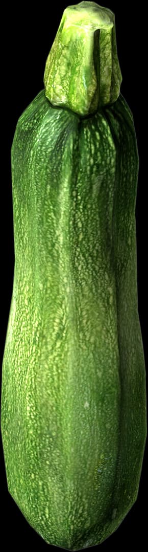 DayZ Zucchini vegetable food item image