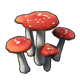Mushroom