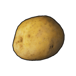 Potato