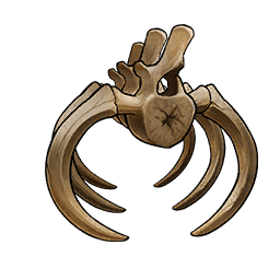 Ancient Bone
