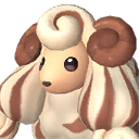 Woolipop Terra