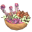 Ashlands Gourmet Bowl icon