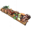 Swamp Dweller's Delight icon