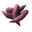 Fishing Bait icon
