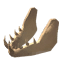 Vilebone Visage icon