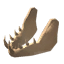 Vilebone Visage icon